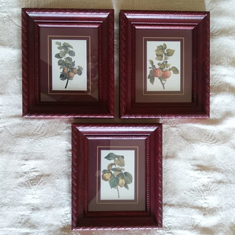 Miniature Fruit Pictures Set Trio Vintage NEW